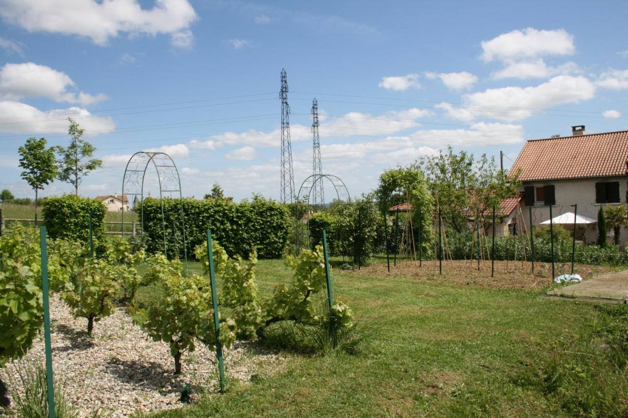1 Bedroom House 20Min Walk To Centre In Турню Екстер'єр фото